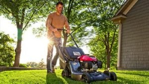 Lawn Care 