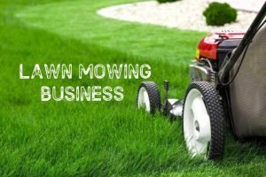 Lawn Mowing Business New Zealand (2)