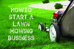 How to Start a Lawn Mowing Business in New Zealand