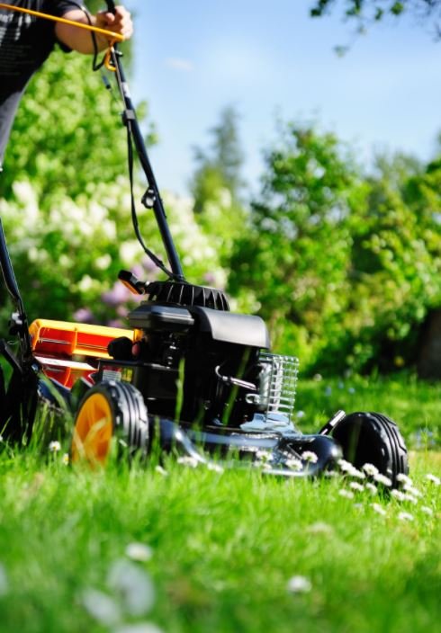 Lawn Care Business in New Zealand